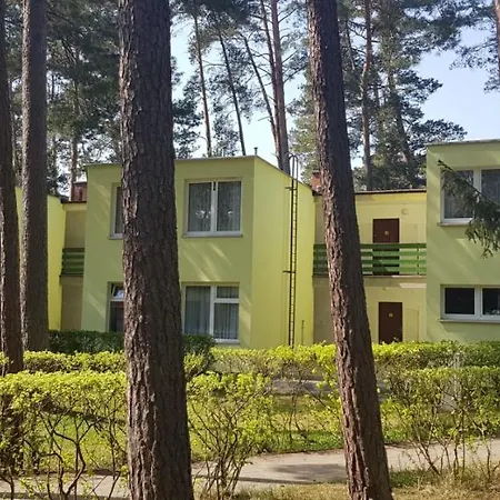 O.w. Krakus Ii - I * ステグナ