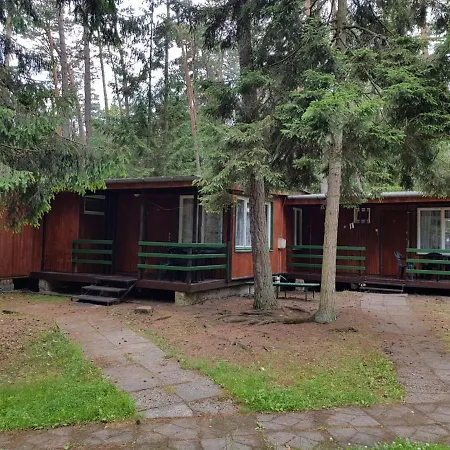 O.w. Krakus Ii - I * ステグナ