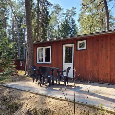 Resort O.w. Krakus Ii - I Stegna (Pomerania)