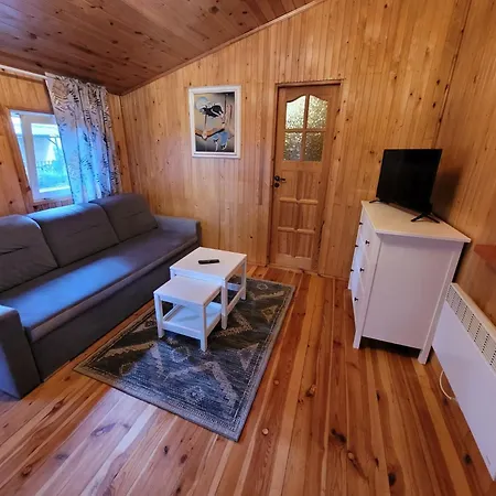 O.w. Krakus Ii - I * ステグナ