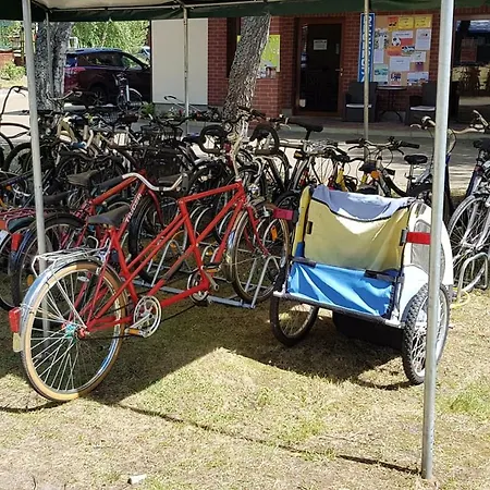 O.w. Krakus Ii - I * ステグナ