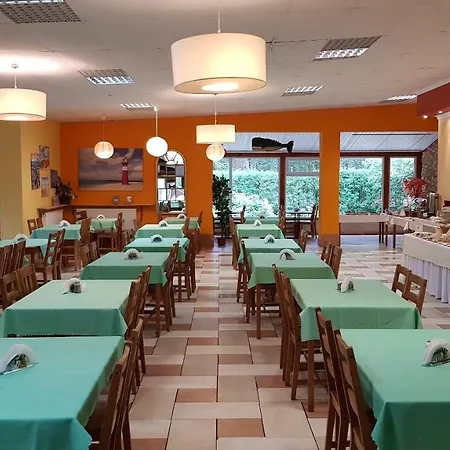 O.w. Krakus Ii - I * ステグナ