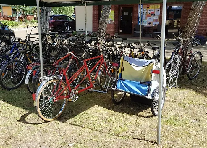 O.w. Krakus Ii - I * Stegna (Pomerania)