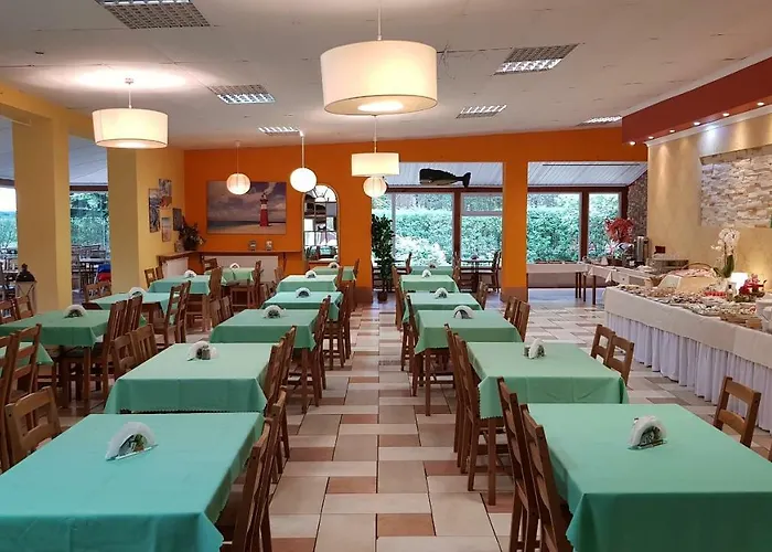 O.w. Krakus Ii - I * Stegna (Pomerania)