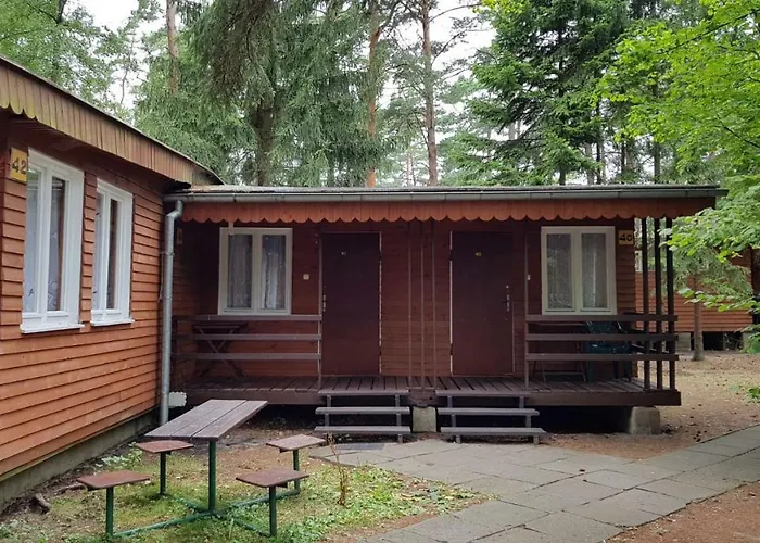 O.w. Krakus Ii - I * Stegna (Pomerania)